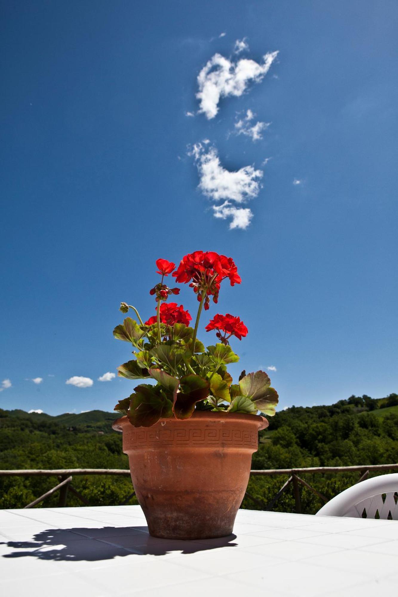 Relais Parco Del Subasio Villa Piano Delle Pieve Eksteriør billede