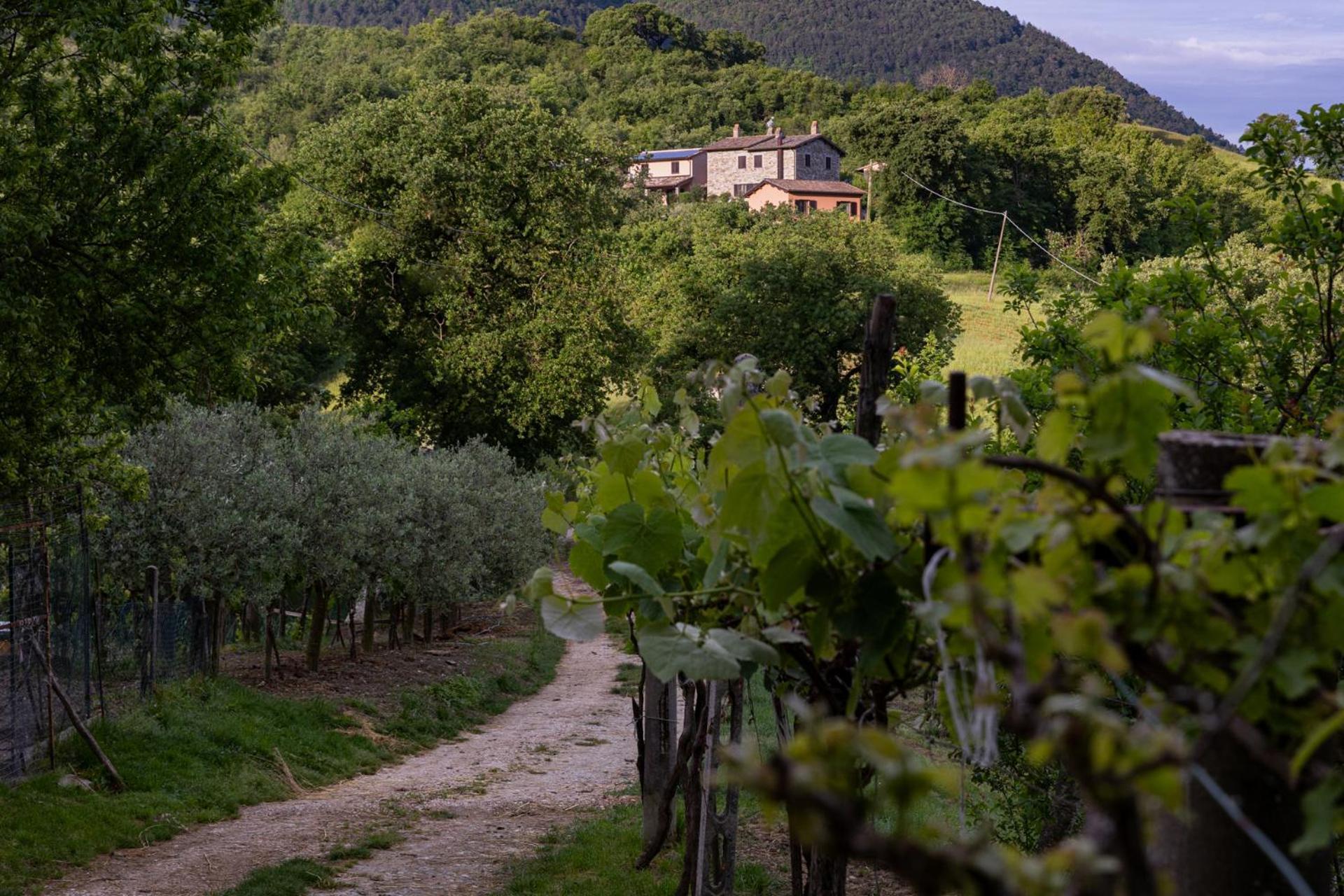 Relais Parco Del Subasio Villa Piano Delle Pieve Eksteriør billede